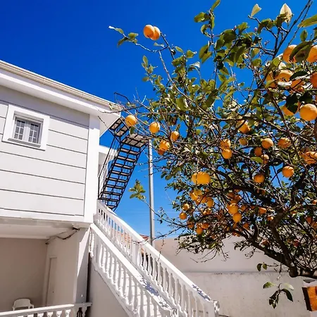 Apartment Villy